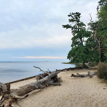 펜션 Huus Gitti Loissin